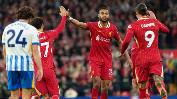 成为观众心 成为观众心