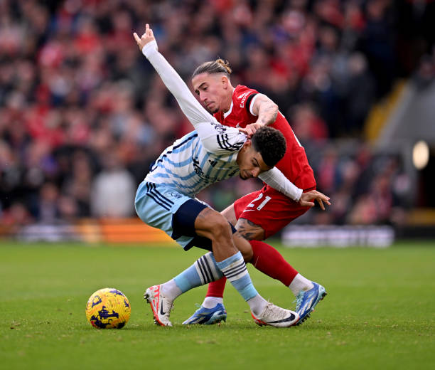 明了这位葡 明了这位葡