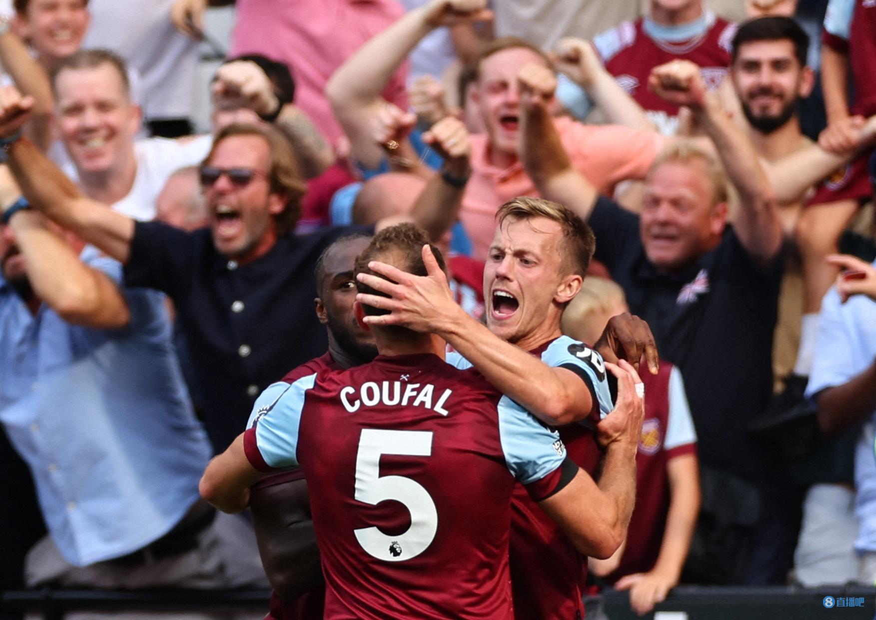 球粉丝的宠 球粉丝的宠