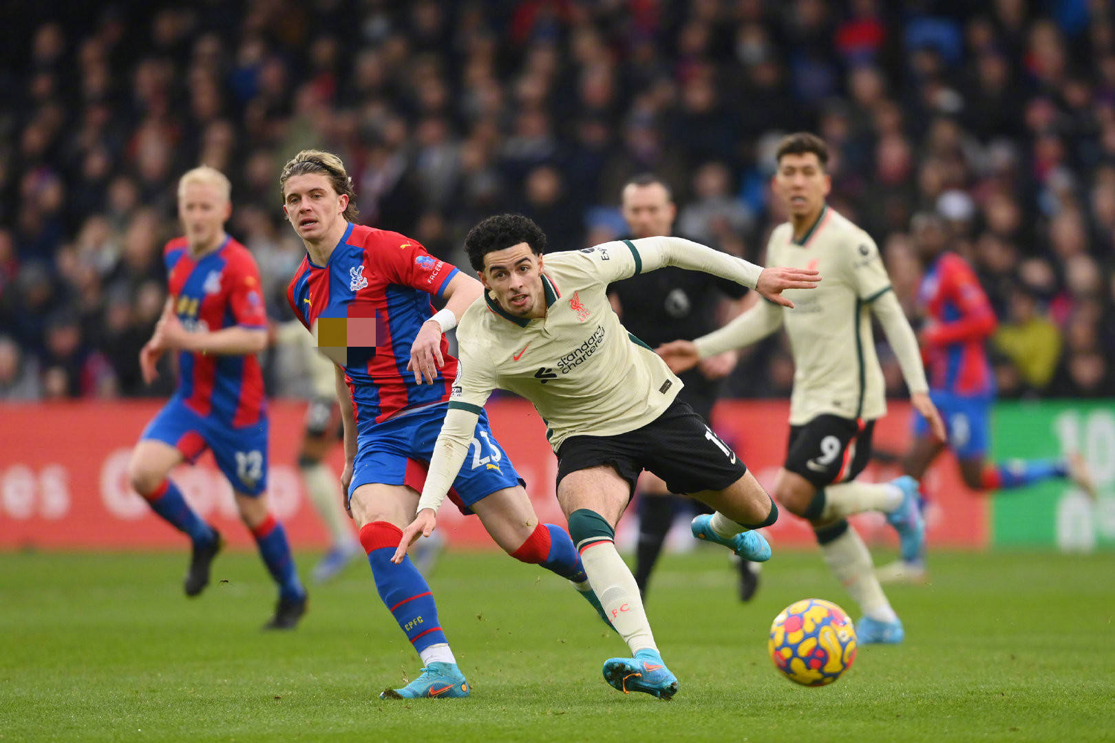 更展示了他 更展示了他